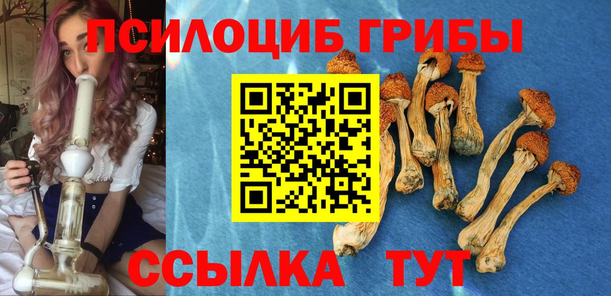 Слободской  где можно купить   Вход с VPN  Псилоцибиновые грибы MAGIC MUSHROOMS 