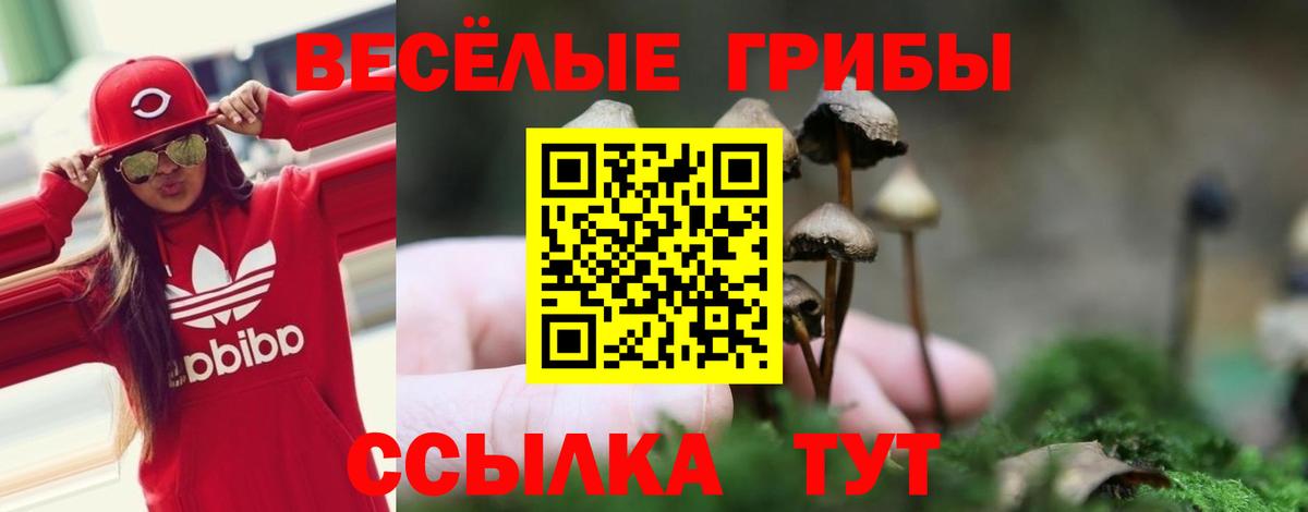 Псилоцибиновые грибы Magic Shrooms Слободской